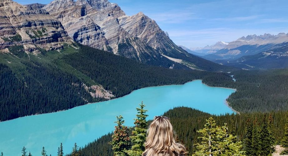 28 38 Canada 93 28 38 Canada 93